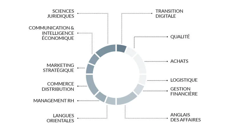 Les 9 disciplines de l